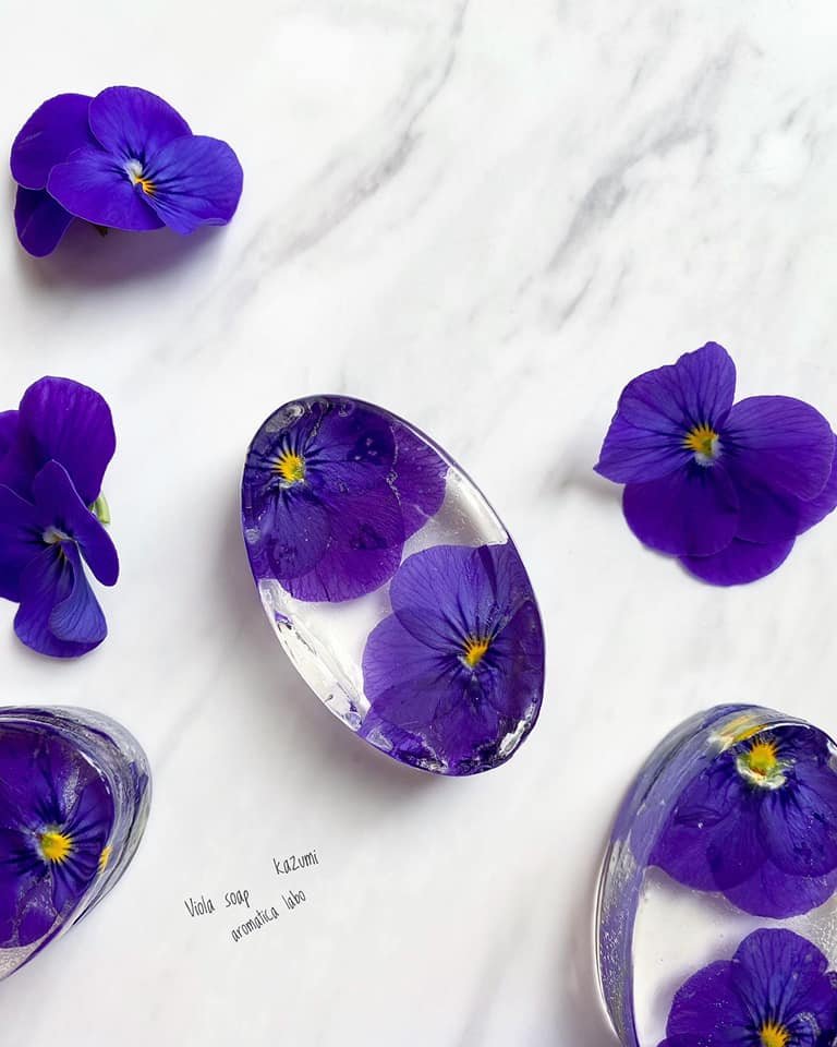 Japanese Amino Acid Ice Melting & Frozen Botanical Soap Certificate Course